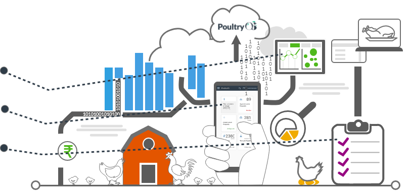 poultryos-poultry-erp-dashboard